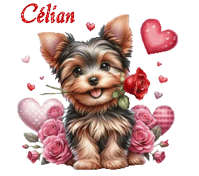 st_valentin 25010
