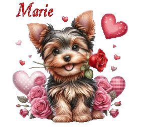 st_valentin 25010