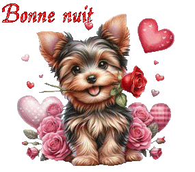st_valentin 25010