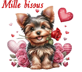 st_valentin 25010