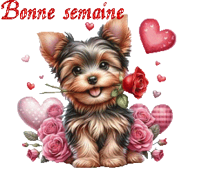 st_valentin 25010
