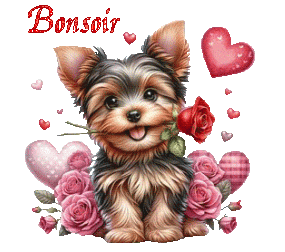 st_valentin 25010