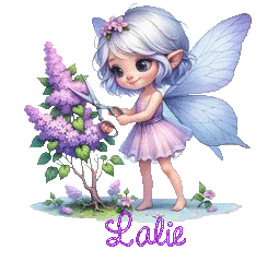 elfe-25058