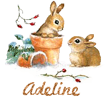 lapin21001