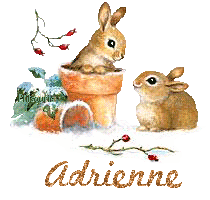 lapin21001