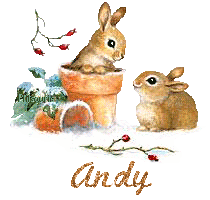 lapin21001