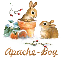 lapin21001