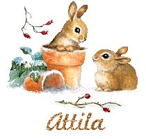 lapin21001