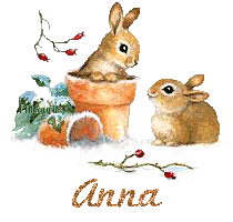 lapin21001