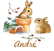 lapin21001