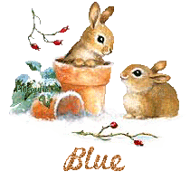 lapin21001
