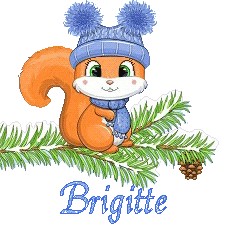 squirrel-23011
