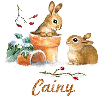 lapin21001