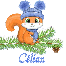 squirrel-23011