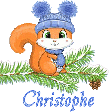 squirrel-23011
