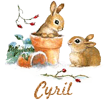 lapin21001