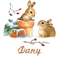 lapin21001