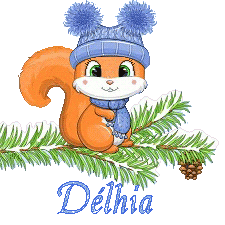 squirrel-23011