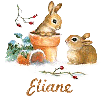 lapin21001