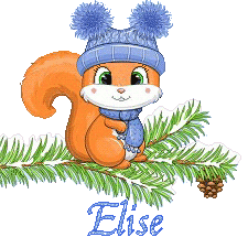 squirrel-23011