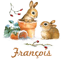 lapin21001
