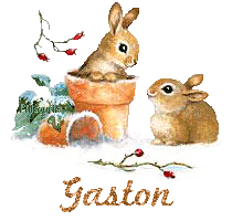 lapin21001