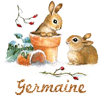 lapin21001
