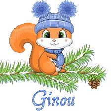 squirrel-23011