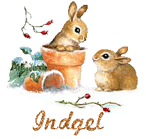 lapin21001
