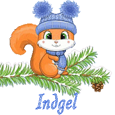 squirrel-23011
