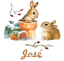 lapin21001