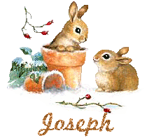 lapin21001
