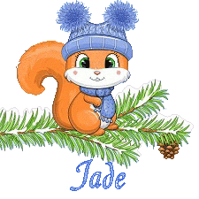 squirrel-23011