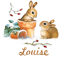 lapin21001