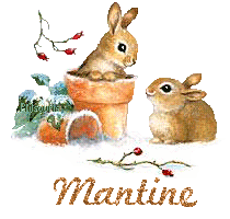 lapin21001