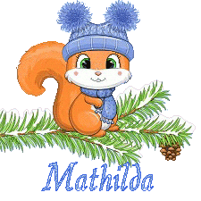 squirrel-23011