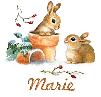 lapin21001