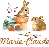 lapin21001