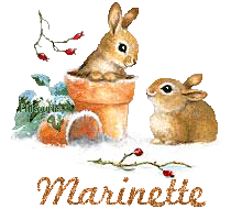 lapin21001