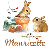 lapin21001