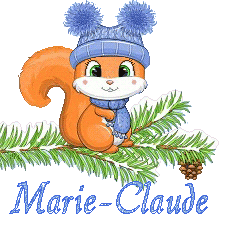 squirrel-23011
