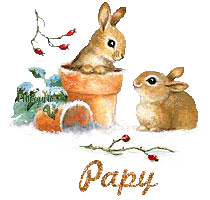 lapin21001