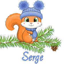 squirrel-23011