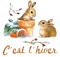 lapin21001