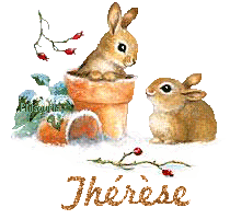 lapin21001