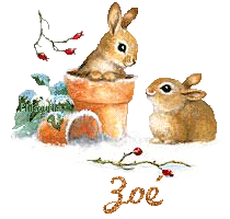 lapin21001