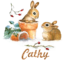 lapin21001