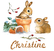 lapin21001