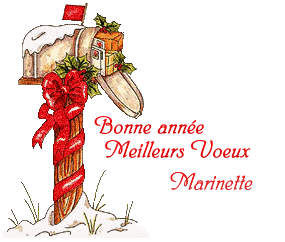voeux2019