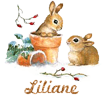 lapin21001